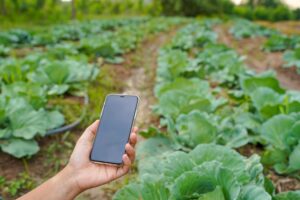 Farming and technology